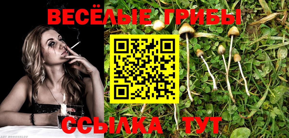 Москва  Псилоцибиновые грибы мицелий  Вход с VPN 