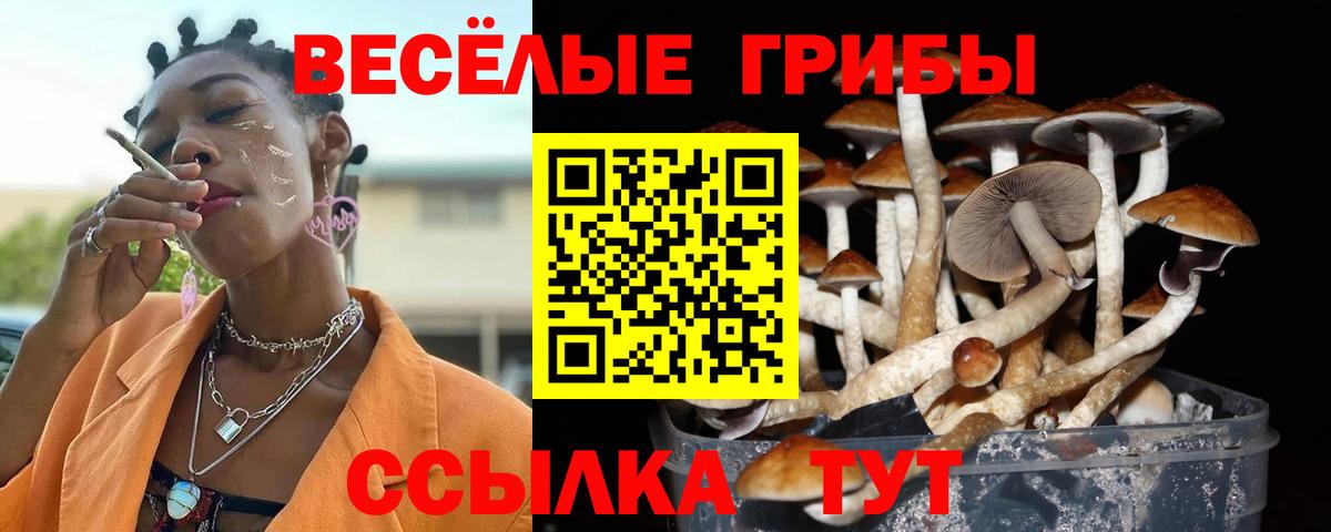 Псилоцибиновые грибы Magic Shrooms Москва